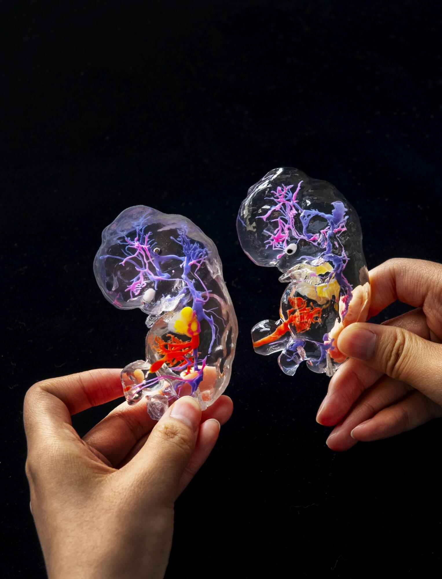 Launch of 3D Embryo Prints Webshop!