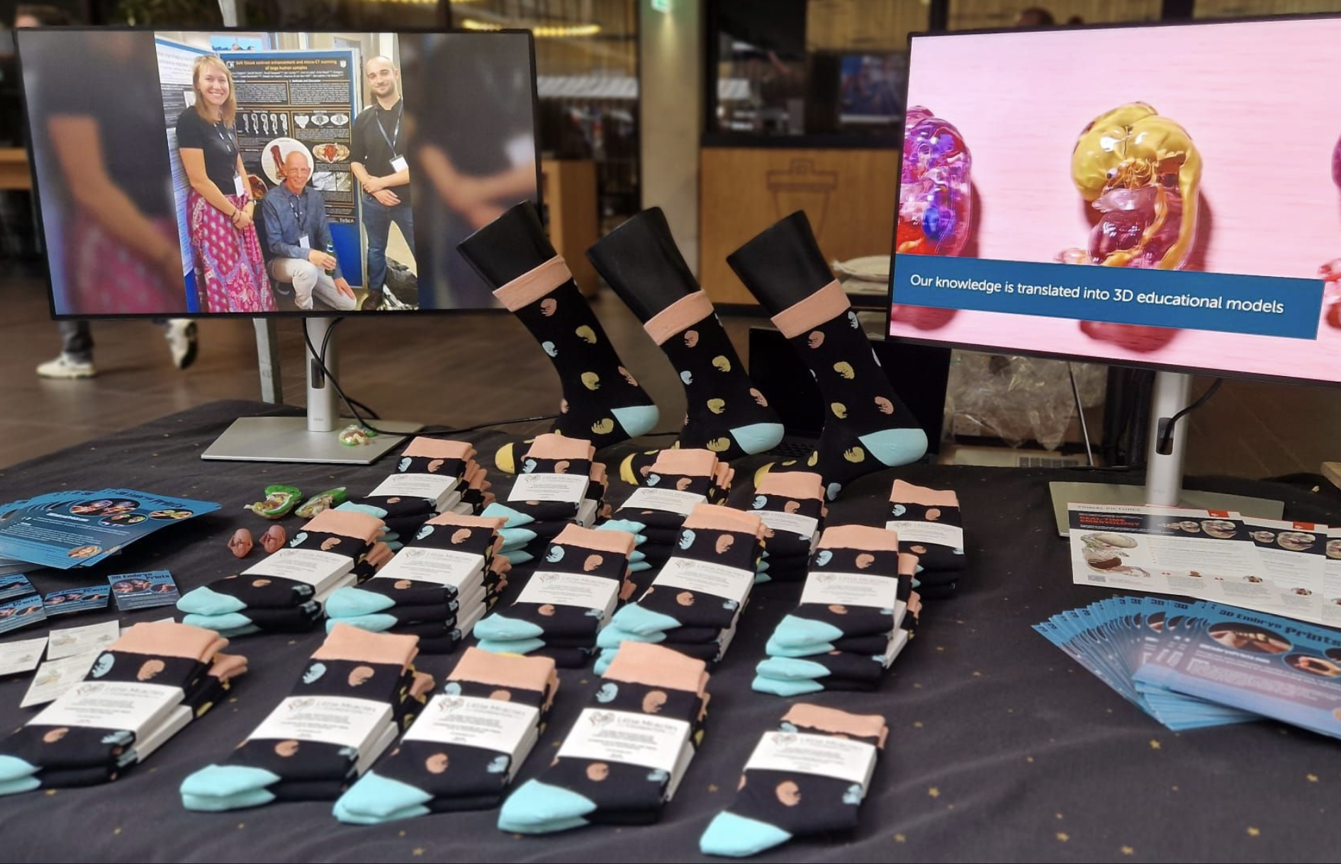 3D Printed Embryo Models and Embryo Socks at Valorization Festival